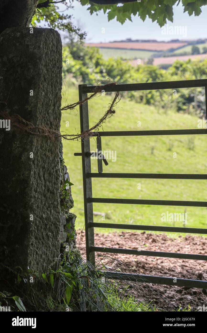 Silhouette of metal farm gate and field gatepost. For UK farming and agriculture, being penned in metaphor, gated field. Stock Photo