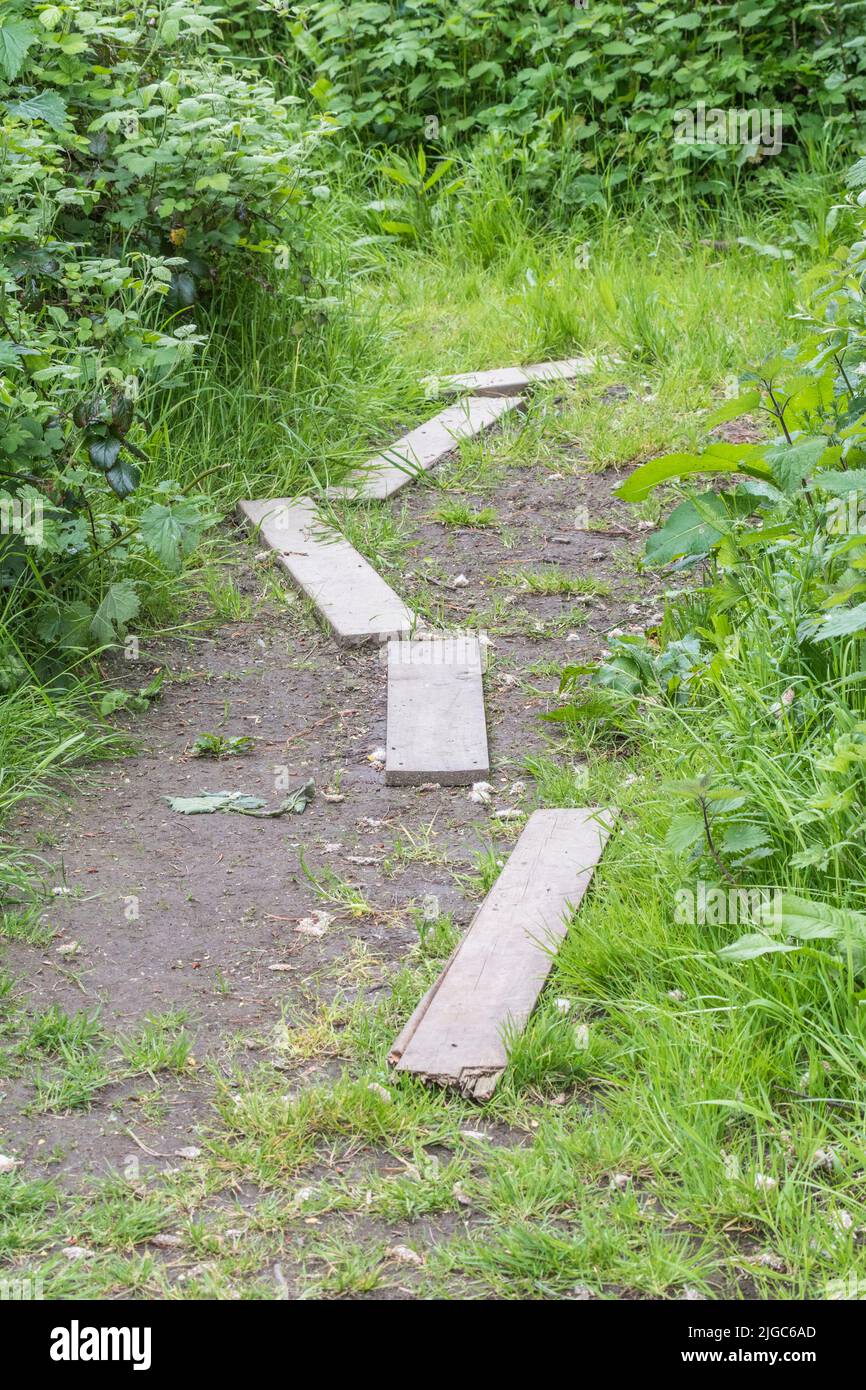 Short patch of pathway in rural area covered with wooden planks to stop walkers slipping and sliding in the mud. For making tracks, rural access. Stock Photo