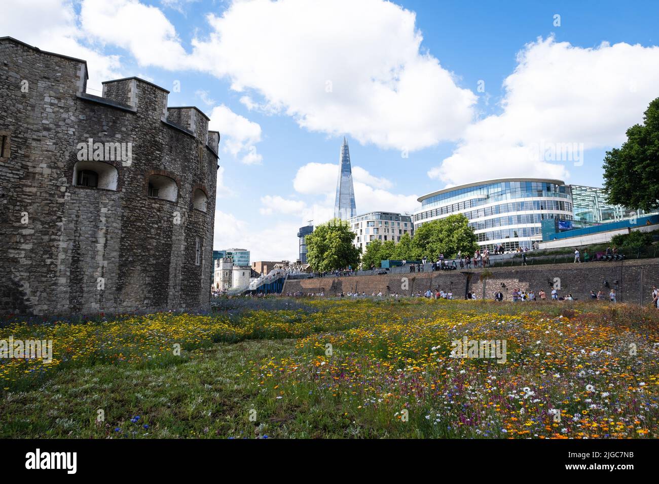 London, UK. 9th July 2022.  Tower of London Superbloom - for the Queen’s Platinum Jubilee wild flower seeds have been planted in the moat Stock Photo