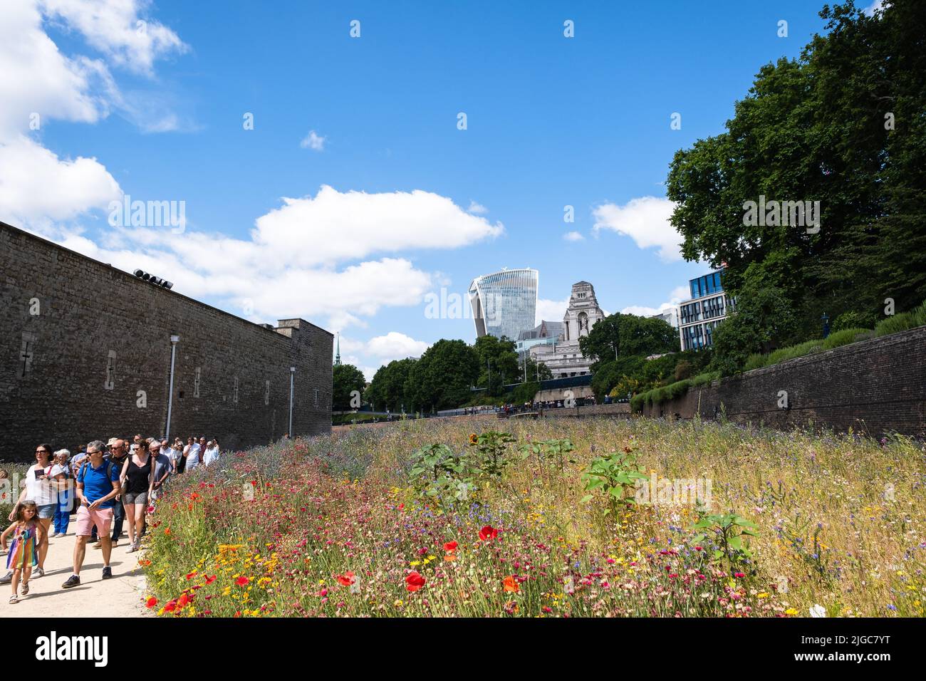 London, UK. 9th July 2022.  Tower of London Superbloom - for the Queen’s Platinum Jubilee wild flower seeds have been planted in the moat Stock Photo