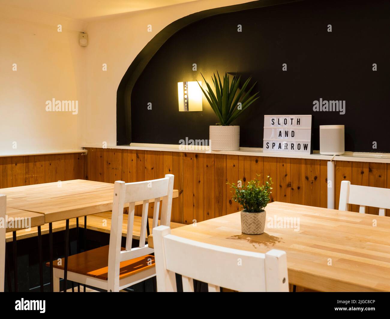 Sloth and Sparrow, Plant Based Restaurant, Falmouth, Cornwall, England, UK, GB. Stock Photo