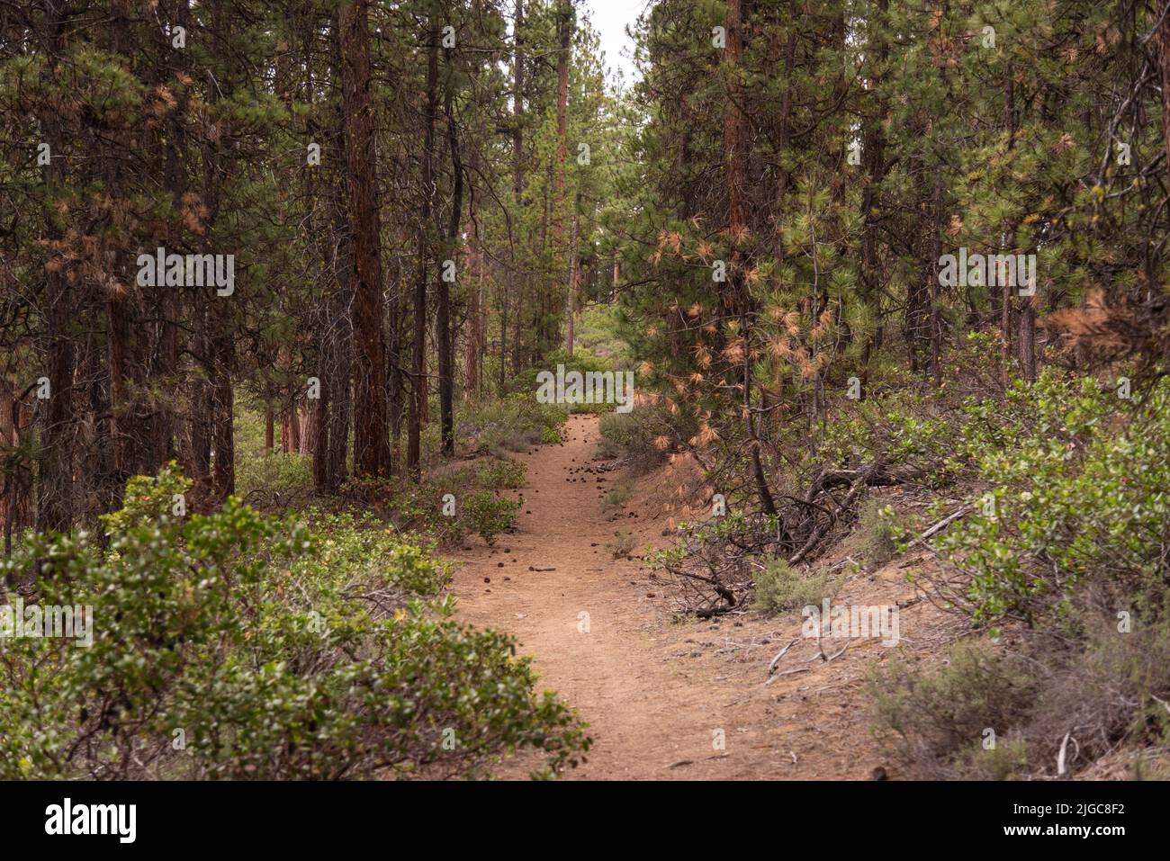Hiking trail in the high desert - Hiking Trail In The High Desert Of Central Oregon Pacific Northwest United States 2JGC8F2