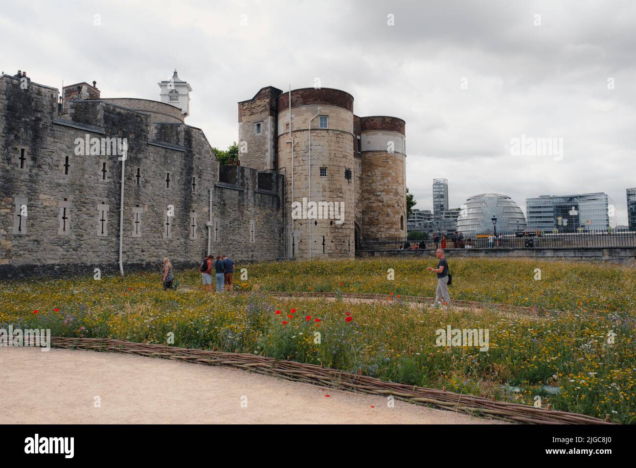 London, UK. 9th July 2022. Tower of London Superbloom for the Queen’s Platinum Jubilee wild