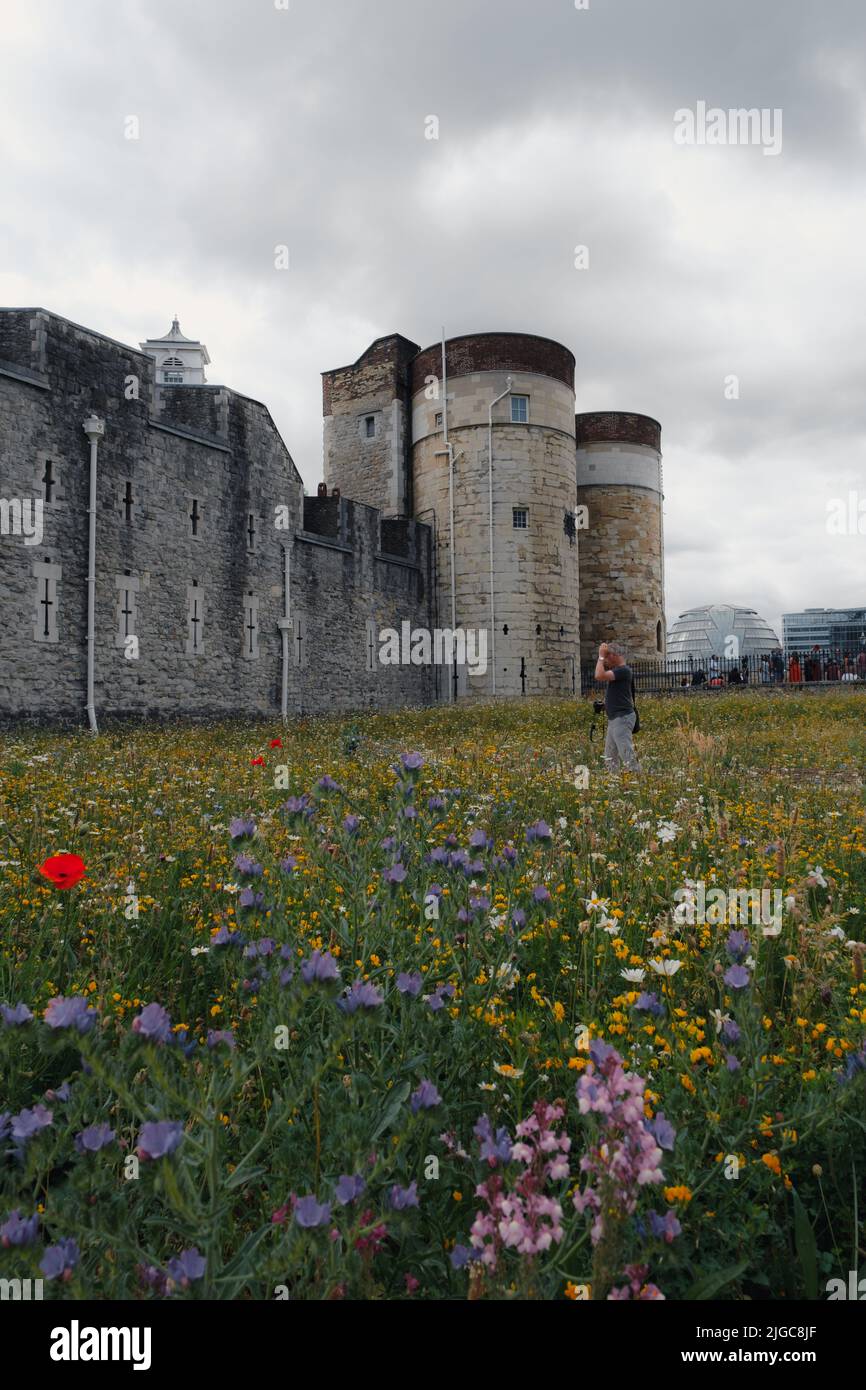 London, UK. 9th July 2022. Tower of London Superbloom for the Queen’s
