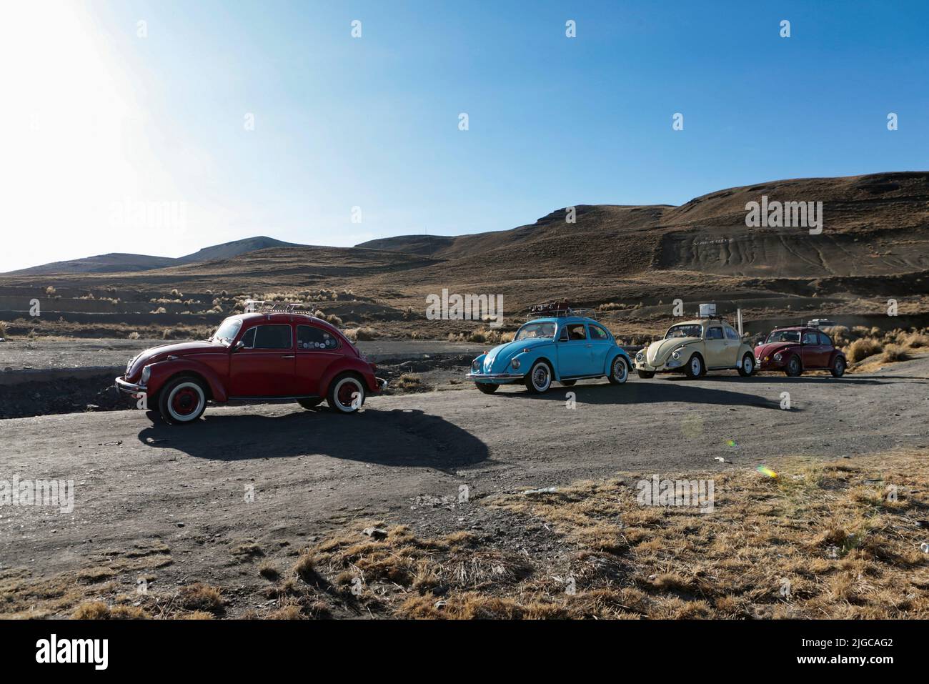 Model beetle hi-res stock photography and images - Page 9 - Alamy