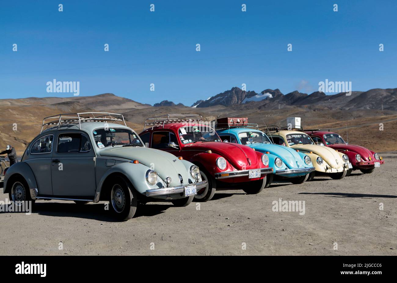 Beetle+drive hi-res stock photography and images - Page 2 - Alamy