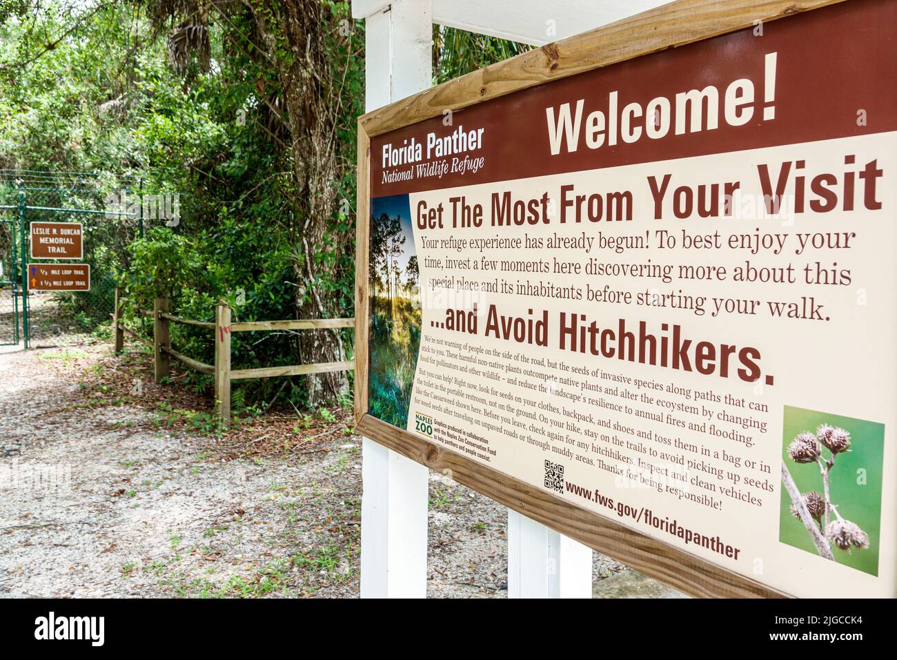 Naples Florida Everglades,Florida Panther National Wildlife Refuge Leslie M. Duncan Memorial Trail gate gated Stock Photo