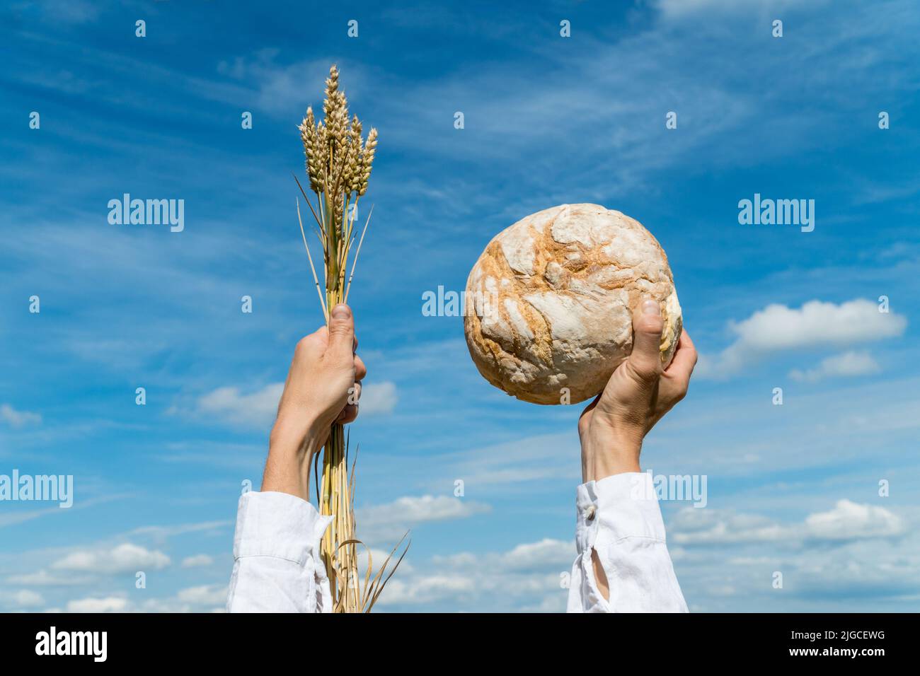 Male hands holding home baked bread loaf and wheat ears  above his head over a blue summer sky. Food production concept Stock Photo