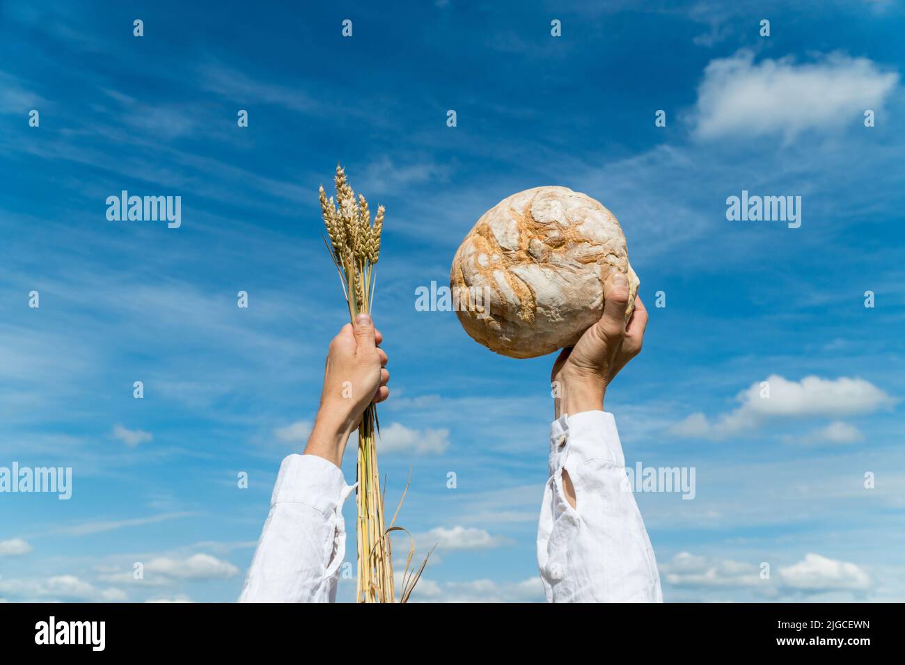 Male hands holding home baked bread loaf and wheat ears  above his head over a blue summer sky. Food production concept Stock Photo