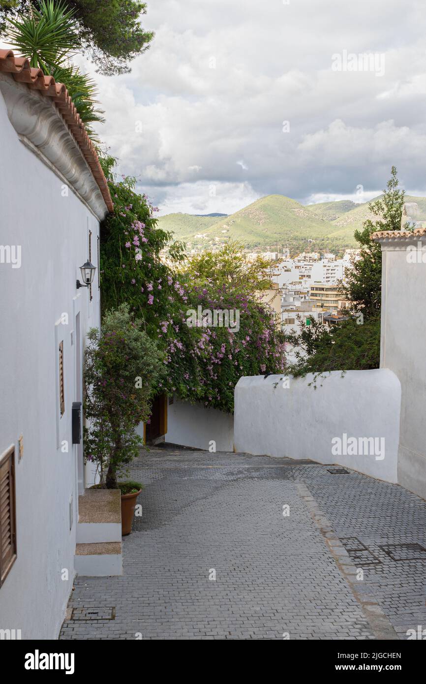 Landscaped street hi-res stock photography and images - Alamy