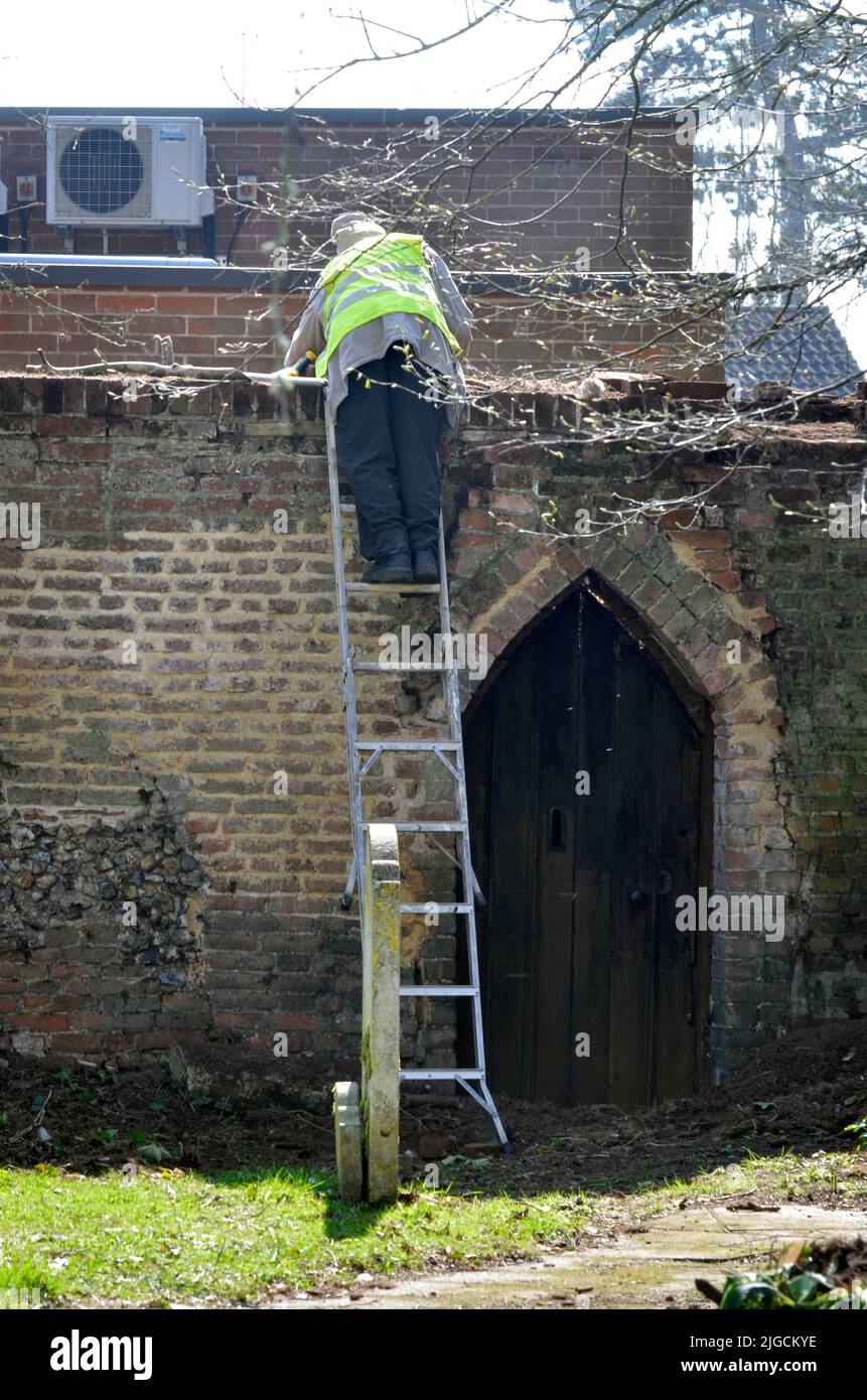 man up ladder hadleigh suffolk england Stock Photo