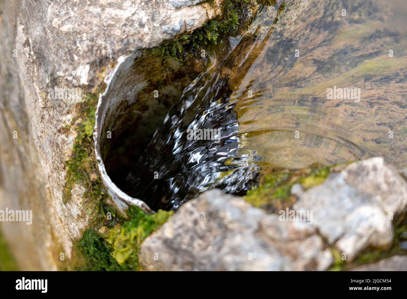 Draining pure spring water from a stone natural mossy container into a