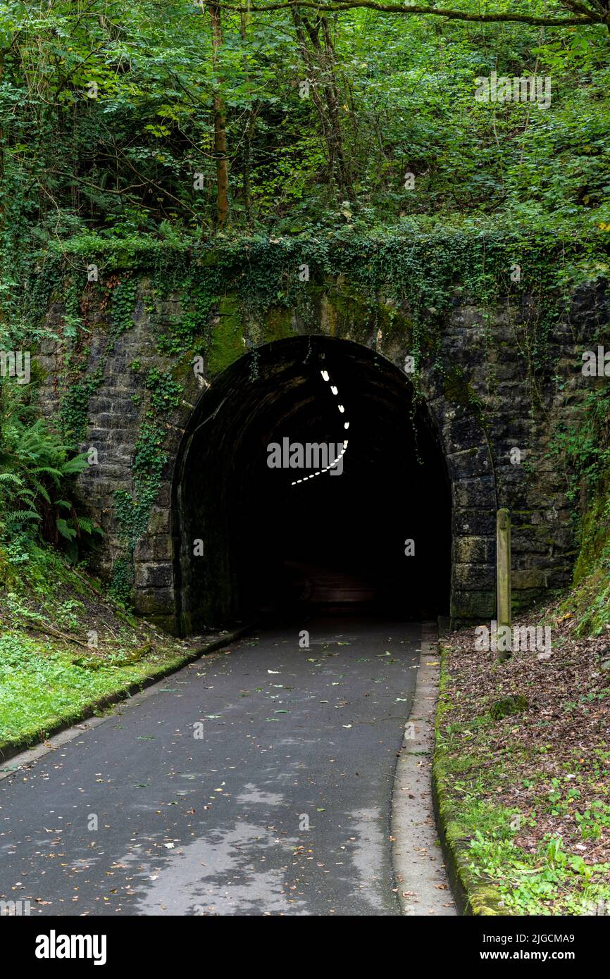 Abandoned spooky dark stone tunnel in the forest with a road and light lamps. Fairytale Halloween view Stock Photo