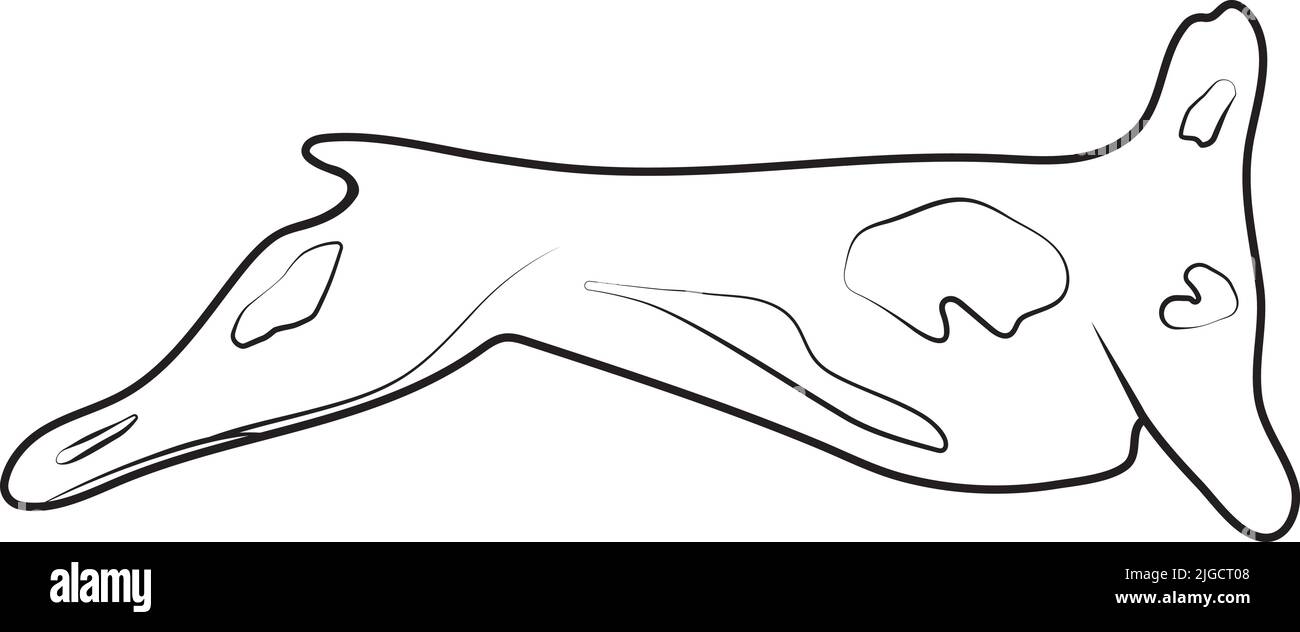 Vector illustration of lamb, goat or sheep meet.Raw mutton illustration