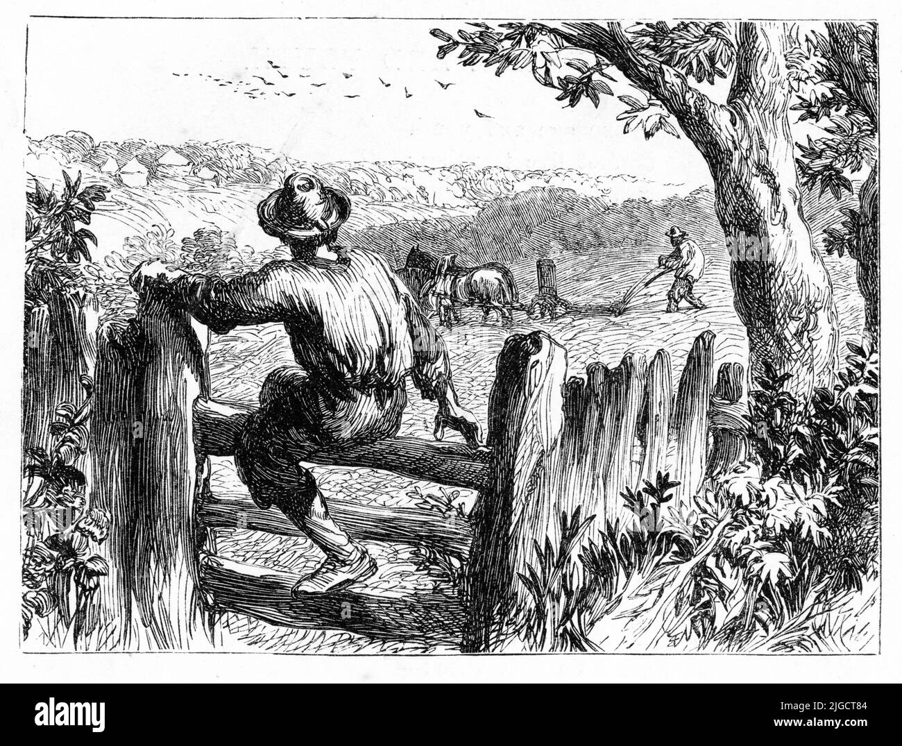 engraving of a man watching the 16th century ploughman at work