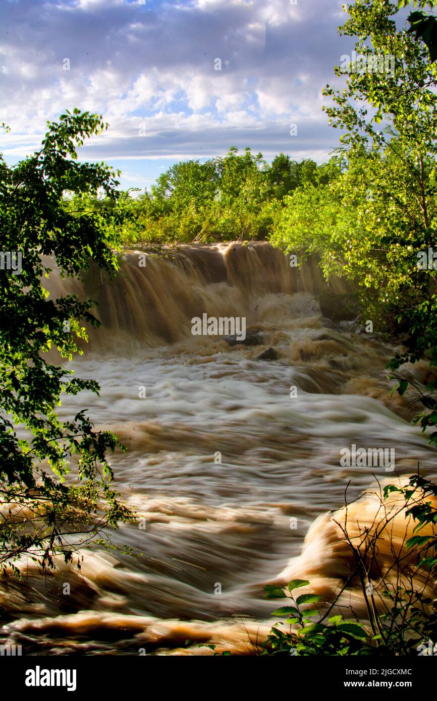The vertical view of the rocky river waterfalls surrounded by trees ...