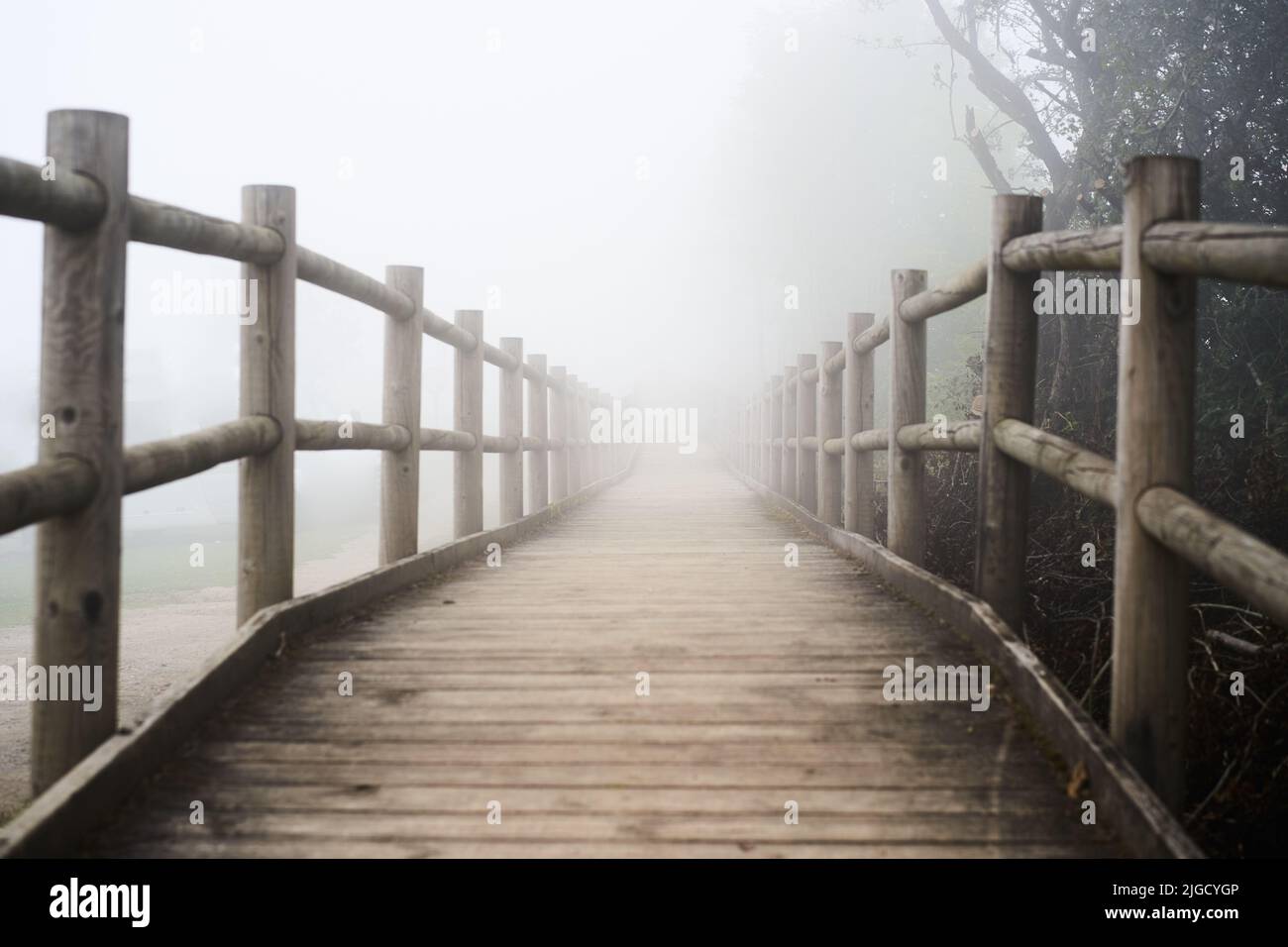 Winding country road into the mist - Trail, wooden footbridge through dark evergreen forest in fog. Atmospheric autumn landscape. Concepts of ghost Stock Photo