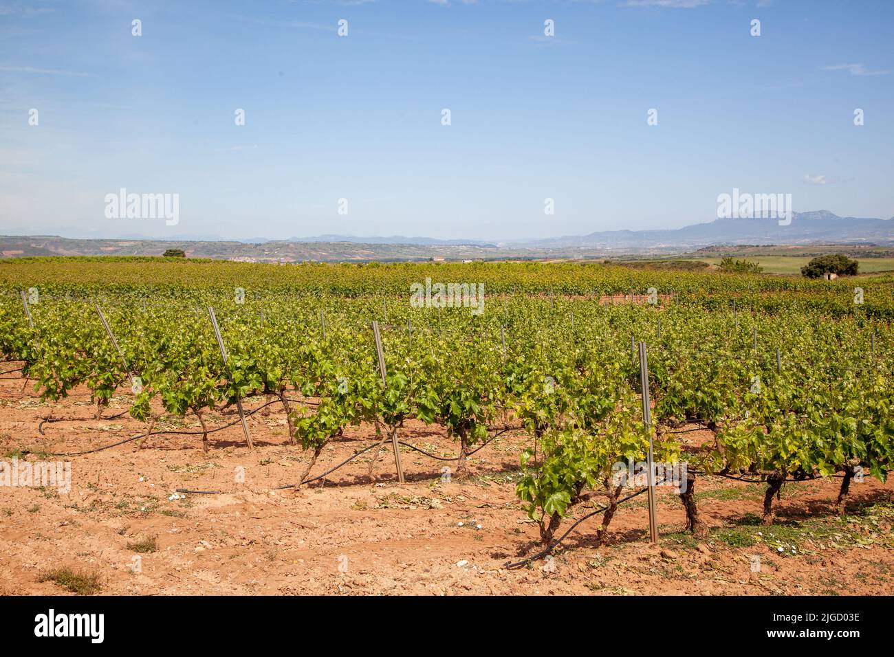 Nájera Vineyards Hi-res Stock Photography And Images - Alamy