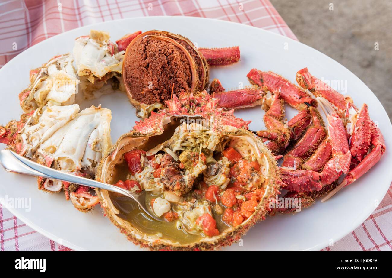 Spider crab (Maja Squinado) cooked and prepared in a ready-to-eat dish