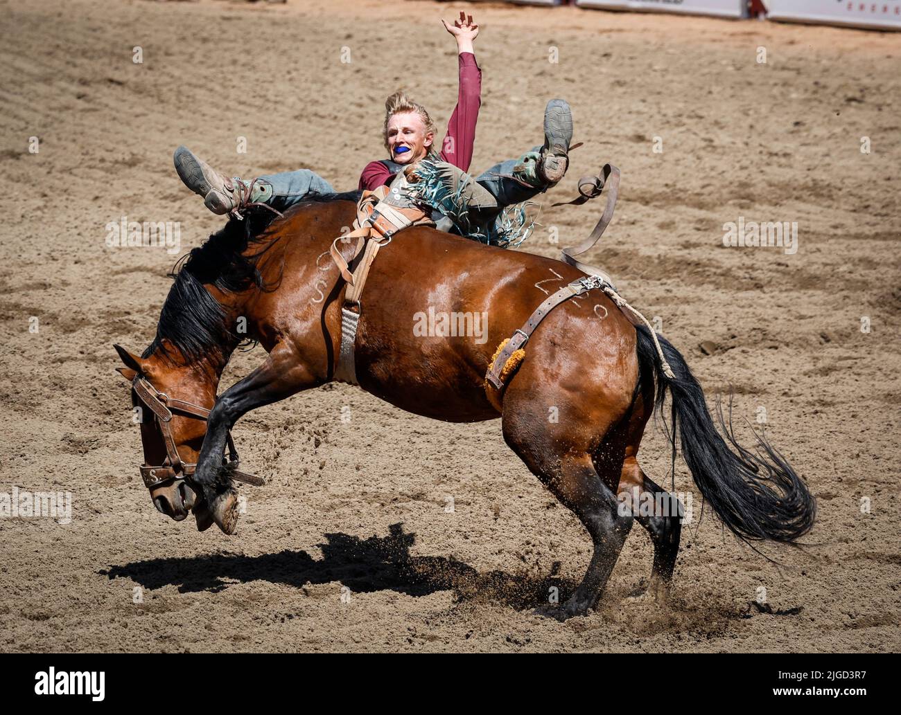 July 9, 2022, Calgary, AB, CANADA: Chase McNulty, of Biggar, Sask., comes off Approaching Carma during novice bareback rodeo action at the Calgary Stampede in Calgary, Alta., Saturday, July 9, 2022. (Credit Image: © Jeff Mcintosh/The Canadian Press via ZUMA Press) Stock Photo