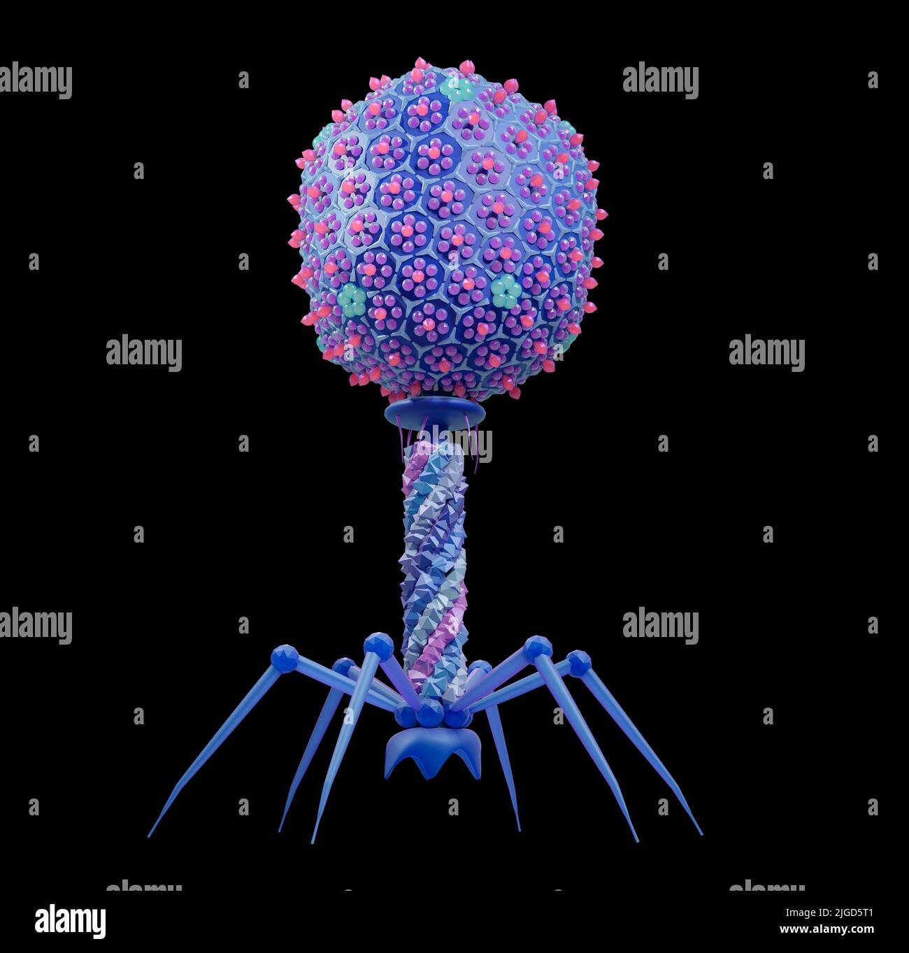 T4 bacteriophage, illustration Stock Photo