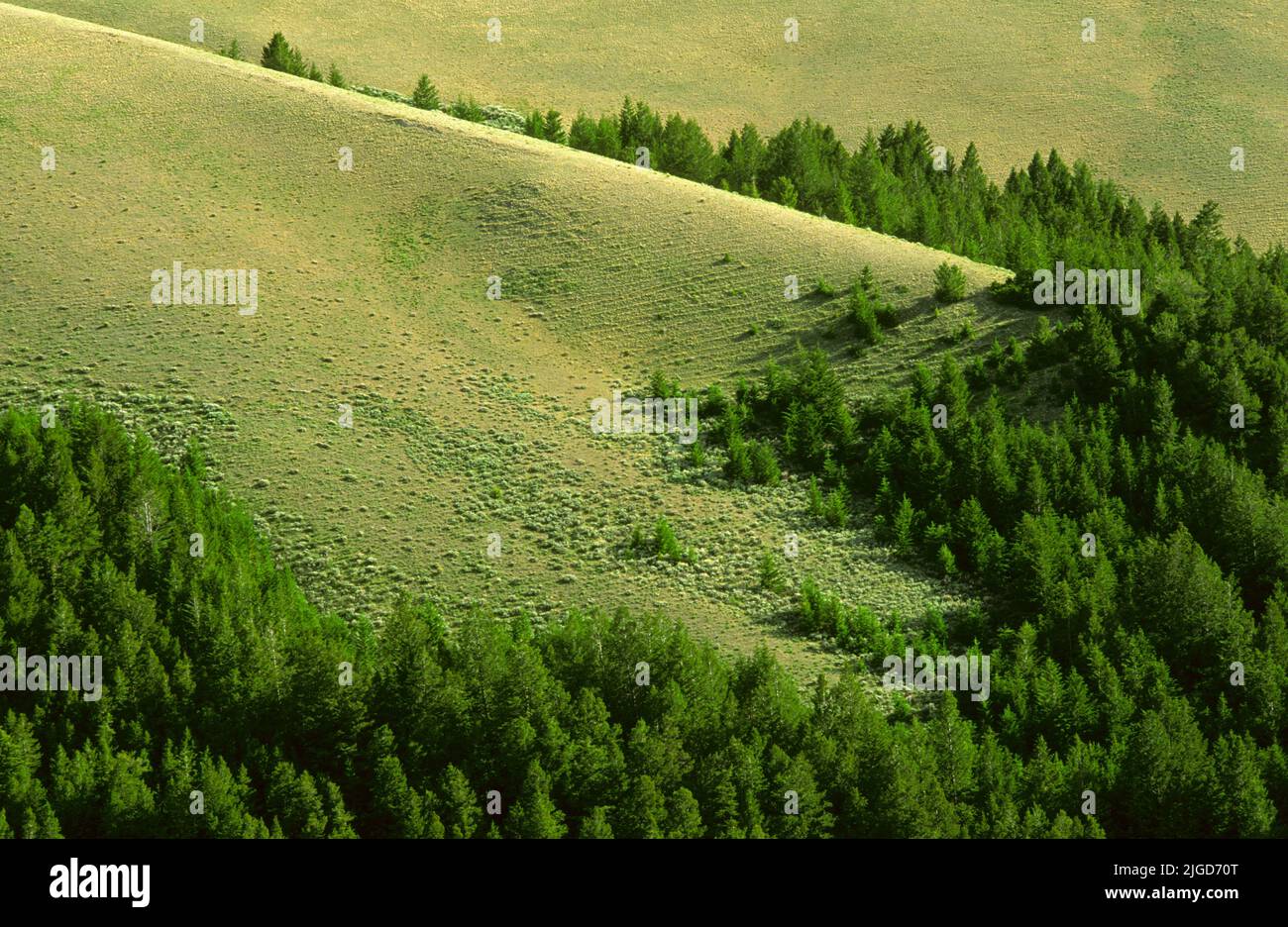 A mountain ridge in Wyoming Stock Photo