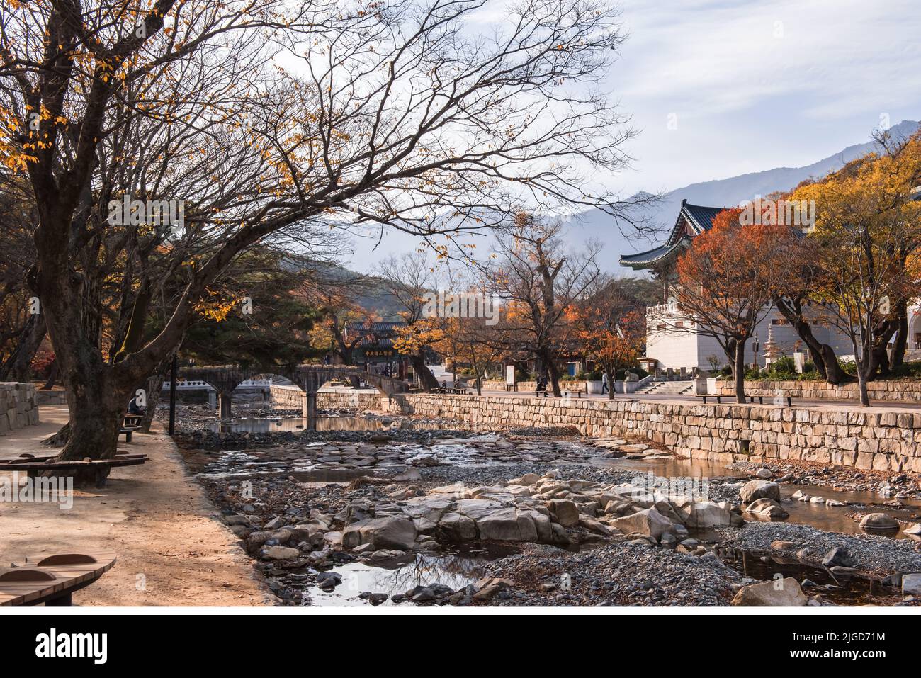 Beautiful Autumn color red and orange trees in the forest and Temples ...