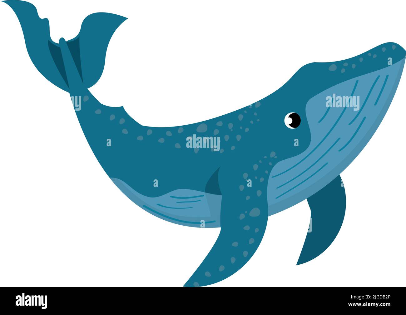 whale sealife animal Stock Vector Image & Art - Alamy