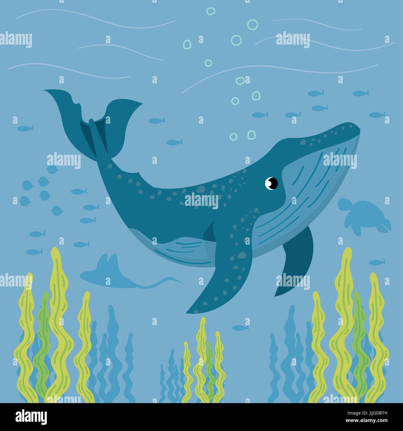 whale sealife underwater Stock Vector Image & Art - Alamy