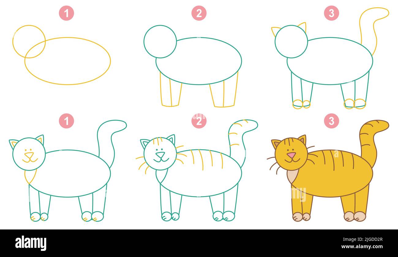 Instructions for drawing cat. Step by step Stock Vector Image & Art Alamy