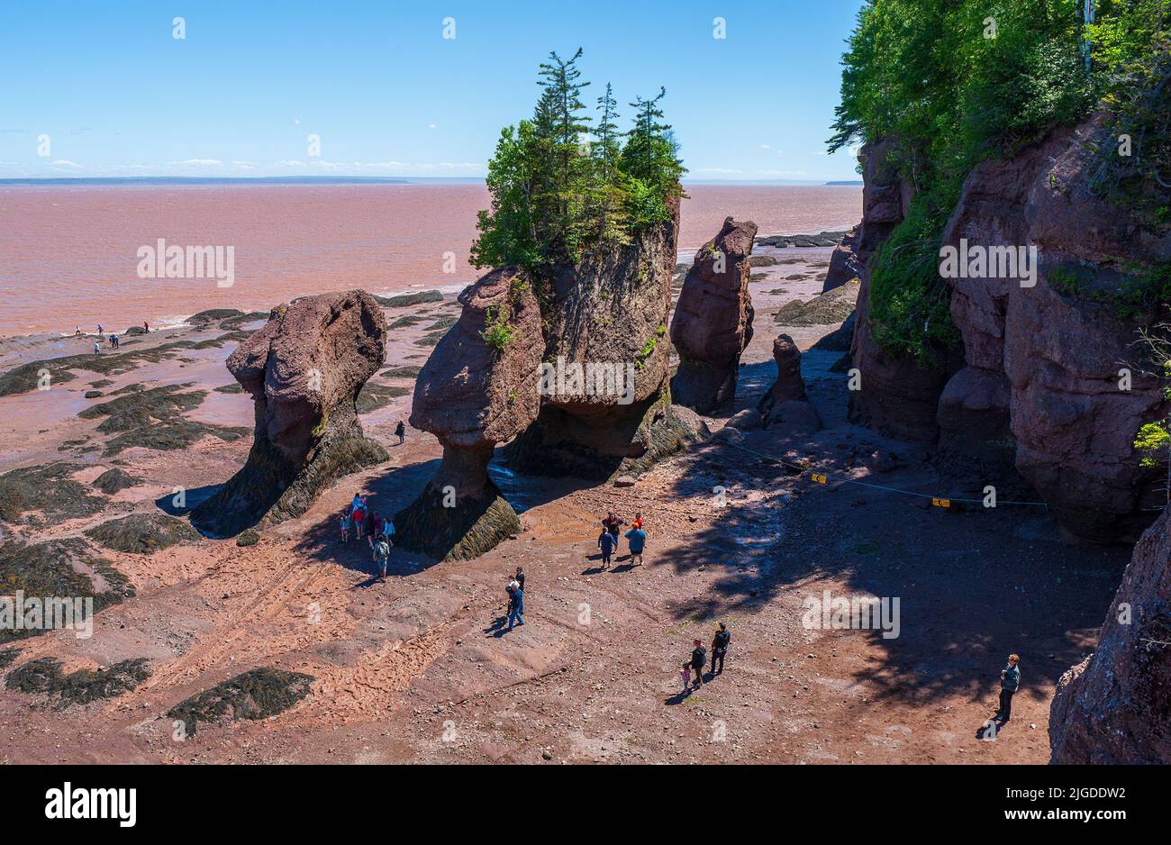 Tourists exploring the Hopewell Rocks at low tide. Hopewell Rocks ...