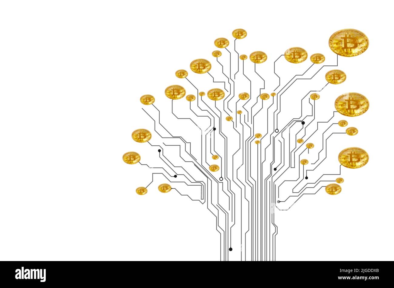 Abstract money tree hi-res stock photography and images - Alamy