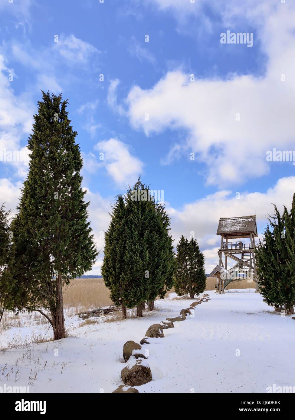 Path leads to the bird watching tower. Wooden observation tower stands in the national park. Outdoor adventure. Stock Photo