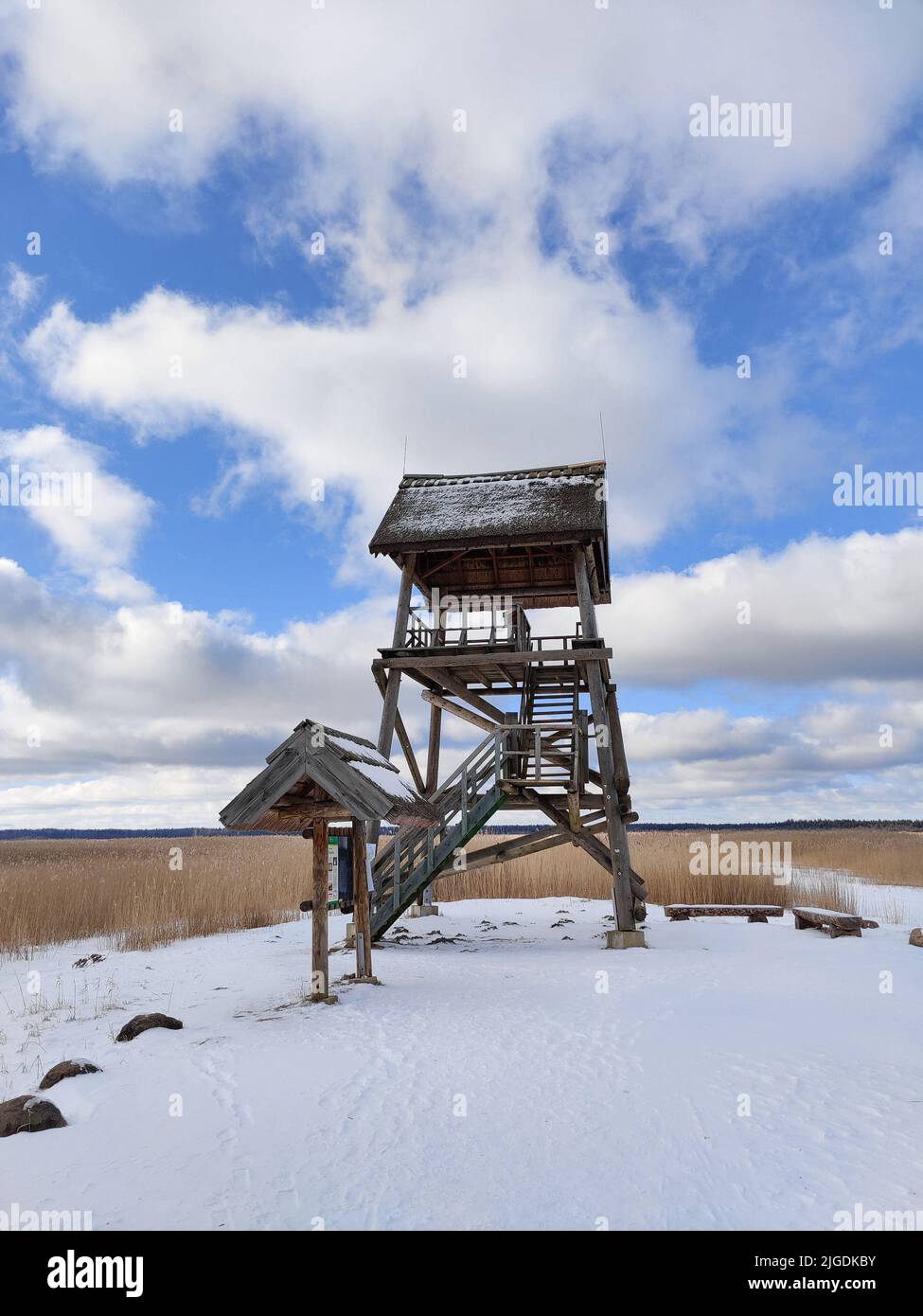Path leads to the bird watching tower. Wooden observation tower stands in the national park. Outdoor adventure. Stock Photo
