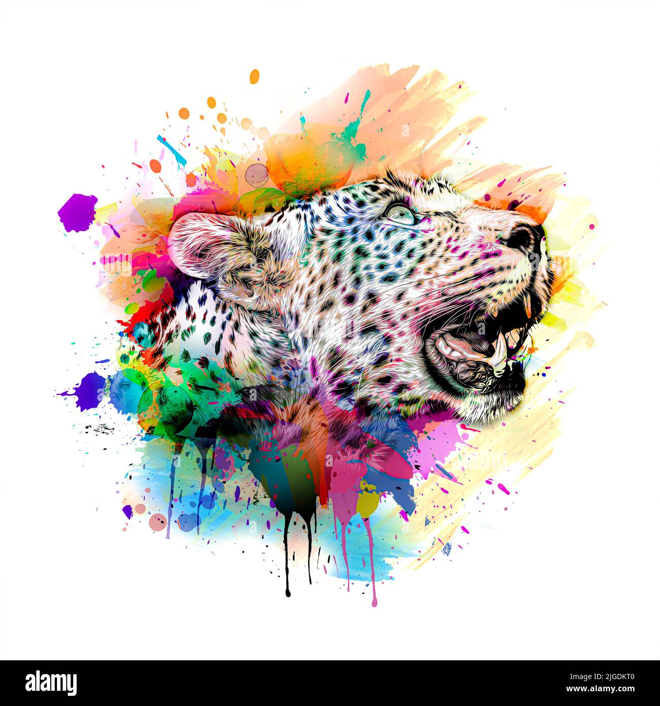 Leopard head creative abstract hi-res stock photography and images - Alamy