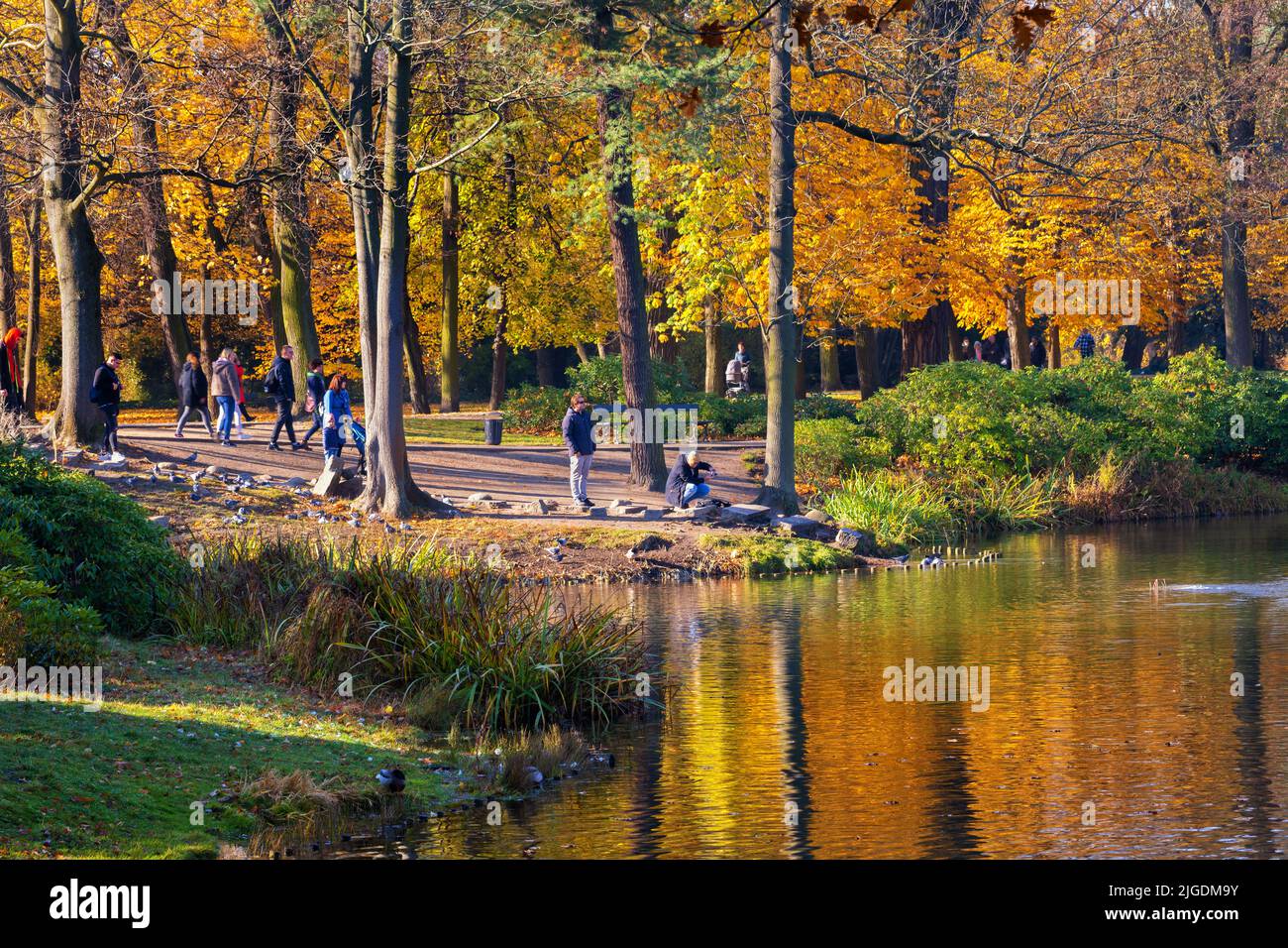 People in Royal Lazienki Park autumn scenery in Warsaw, Poland. Stock Photo