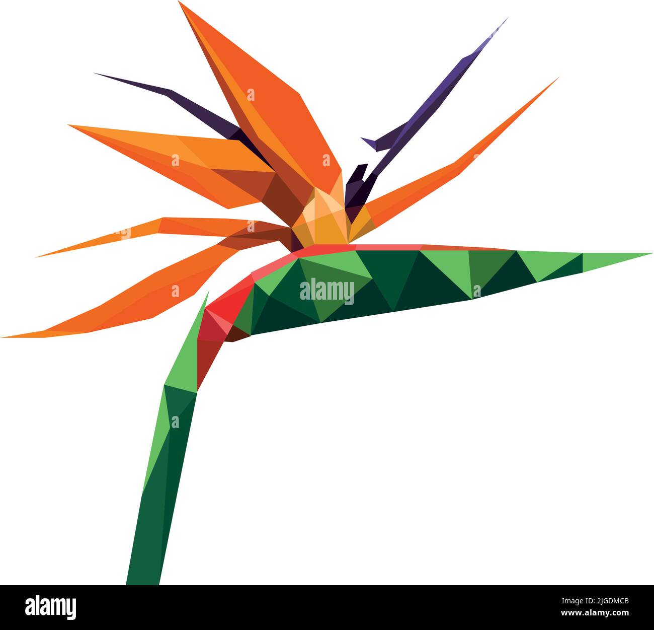 Bird of paradise flower plant in low poly polygon design. Vector logo illustration Stock Vector