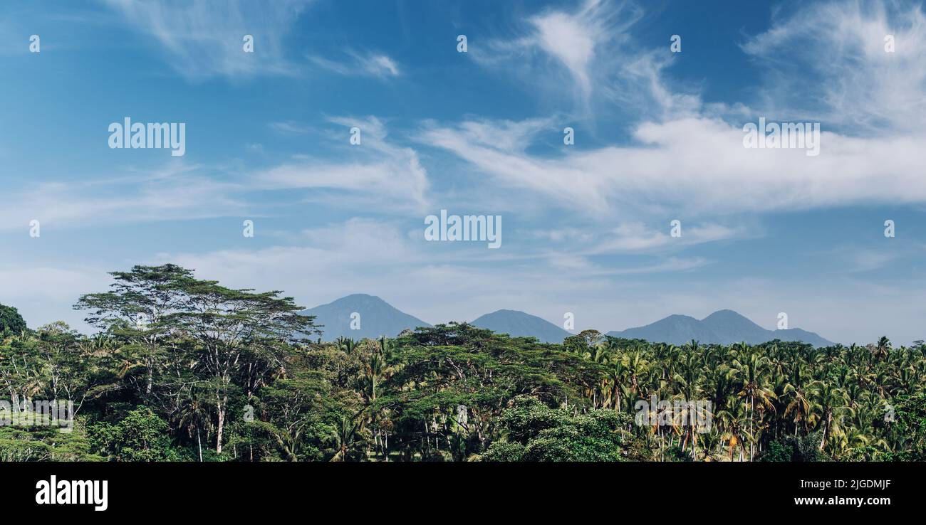 Jungle view on volcanoes in Bali, Indonesia. Stock Photo