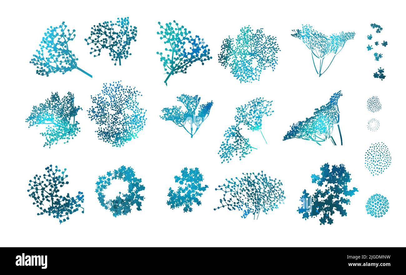 A set of blue flowers. Vector illustration Stock Vector Image & Art - Alamy