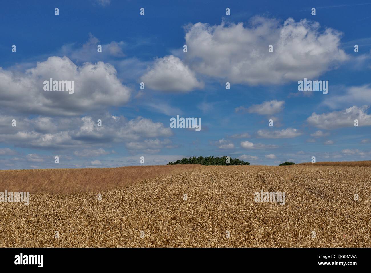 Picturesque clouds in the sunny summer sky above the fields of ripe cereals Lower Silesia Poland Stock Photo