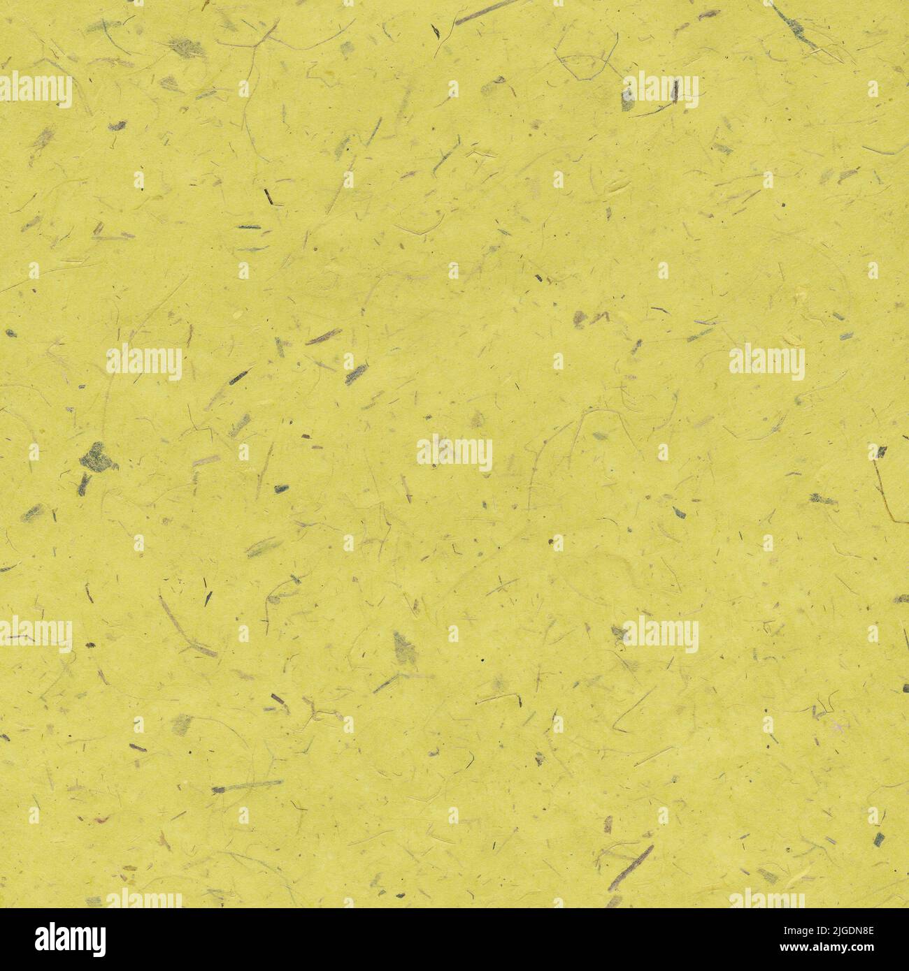 Yellow paper background with dried petal Stock Photo