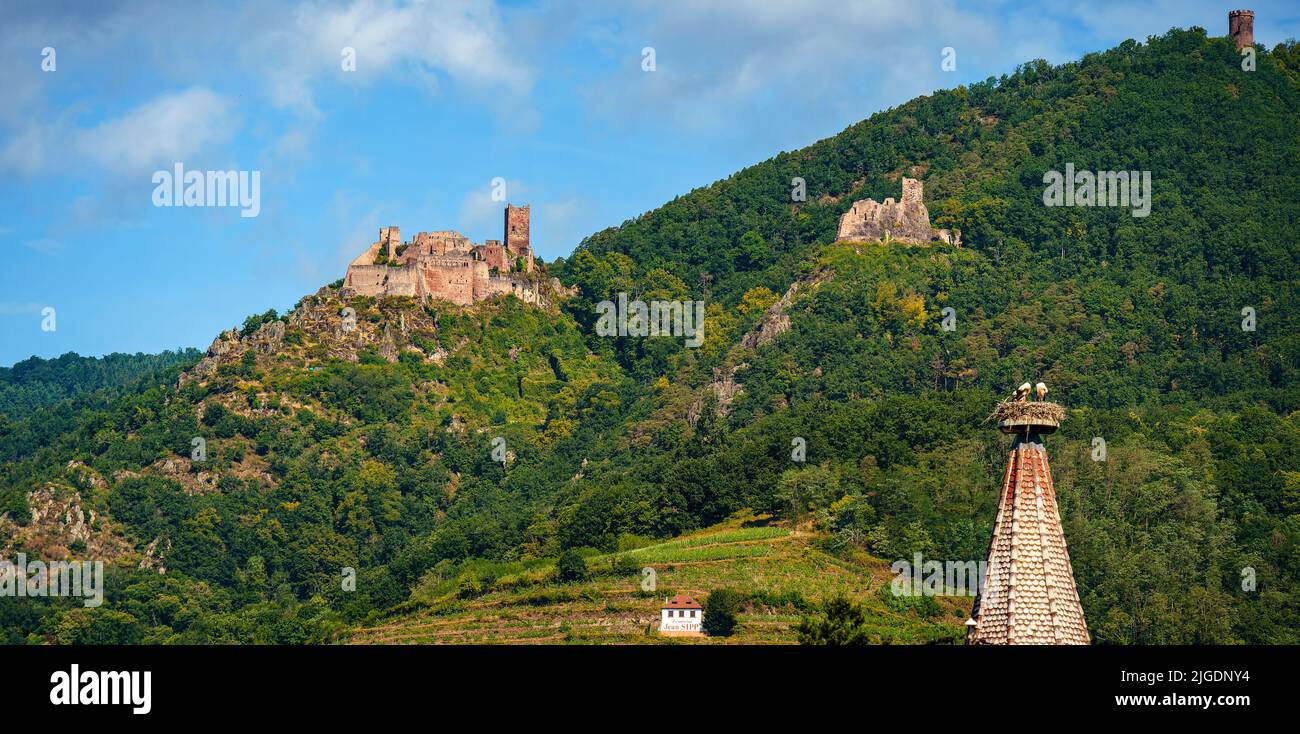 At the scenic route of vine alsatian alsace hi-res stock photography ...