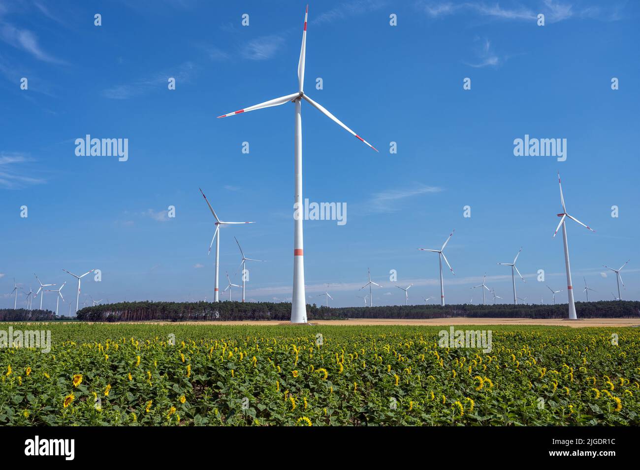 Wind energy plants in front of a blue sky in Germany Stock Photo