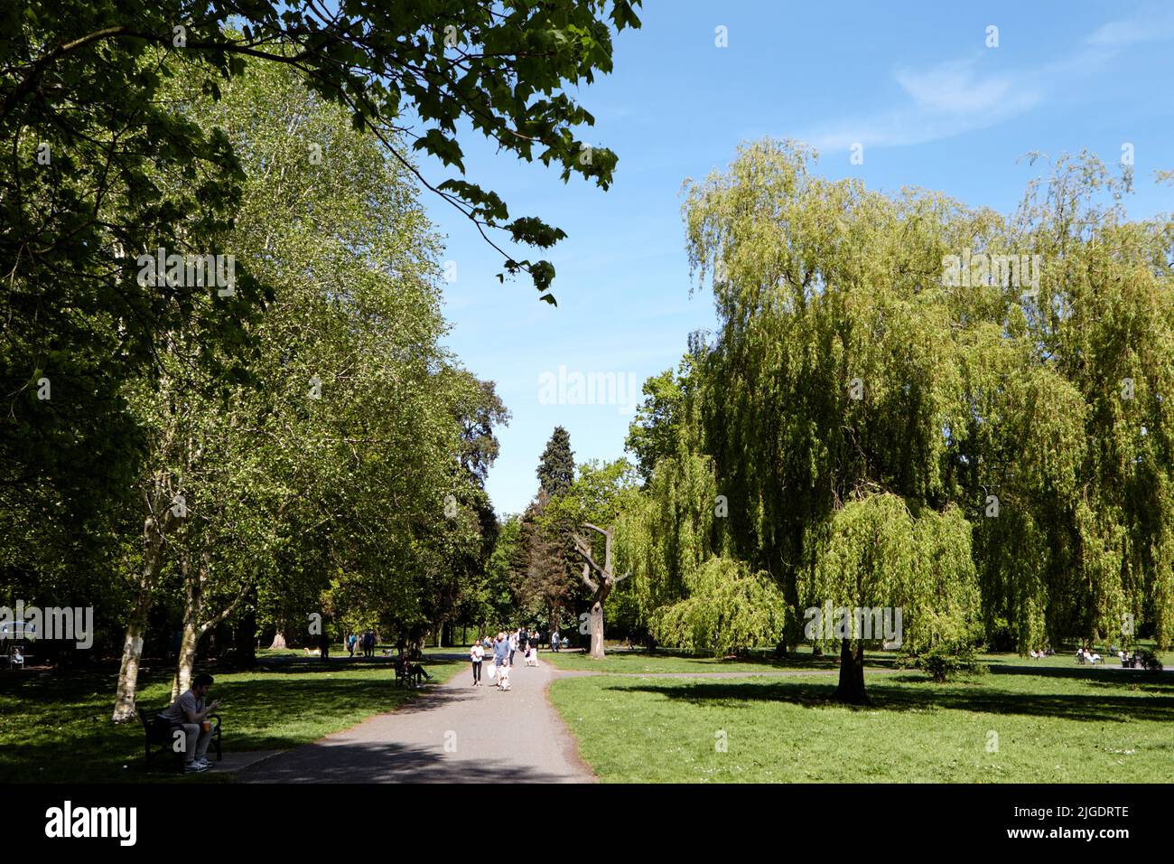 path through ormeau park the oldest municipal park in belfast northern ...