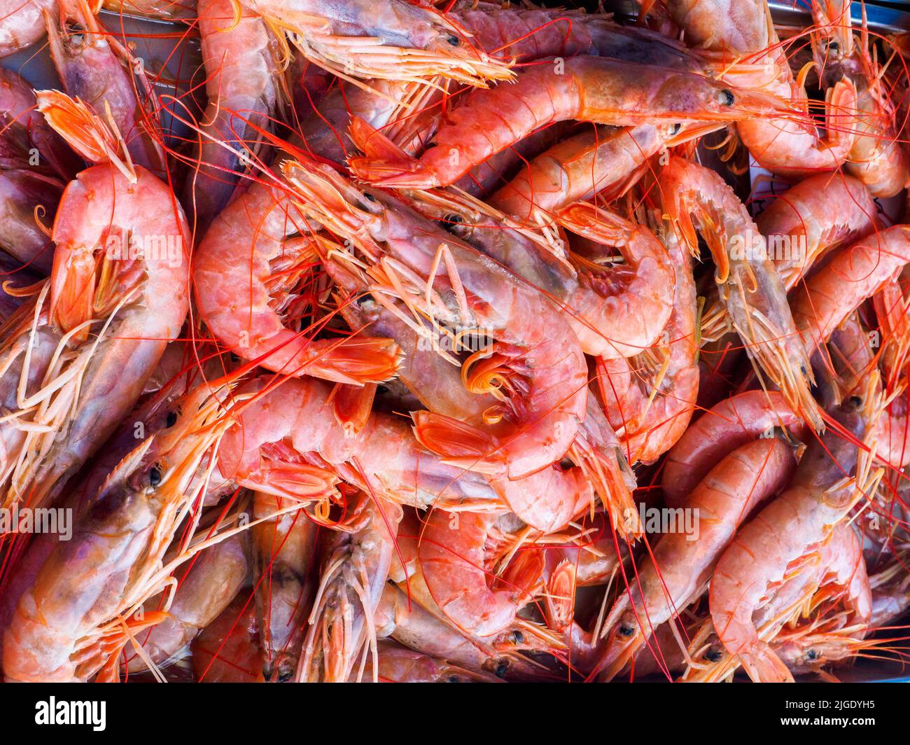 Shrimps for sale in the market of Marsaxlokk - Malta Stock Photo