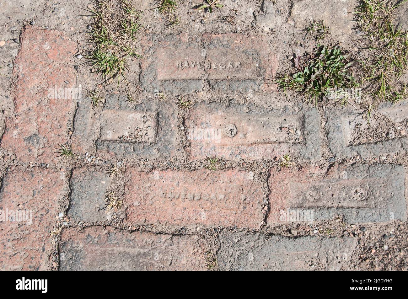 Around the UK - Ravenscar Bricks laid as a footpath on the Cleveland Way, North Yorkshire, UK Stock Photo