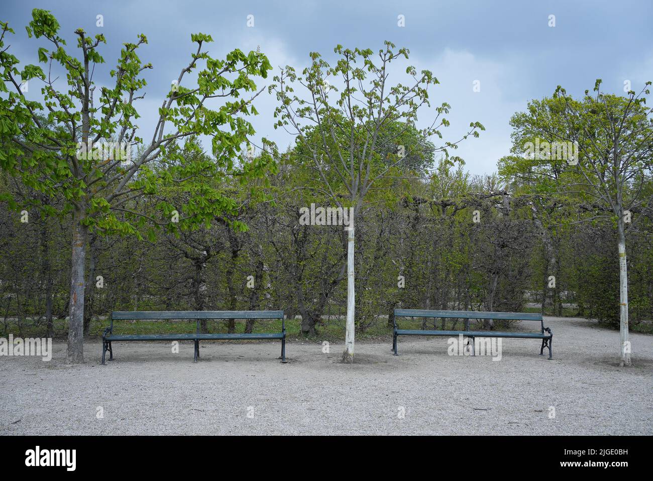 Two empty benches in a beautiful park in spring Stock Photo