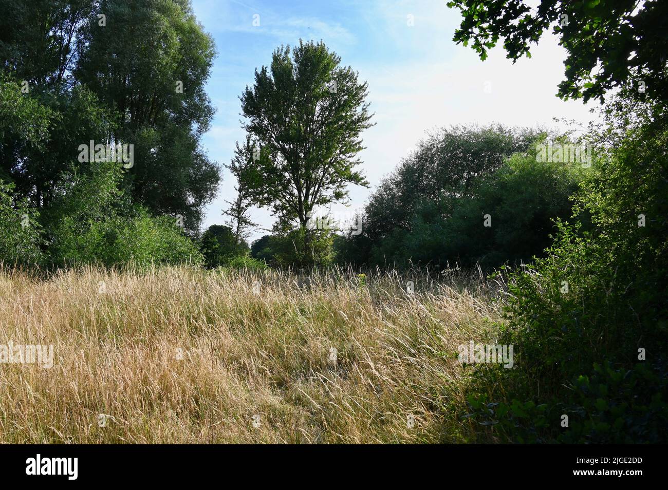 Foots Cray Meadows, Sidcup, Kent. UK Stock Photo