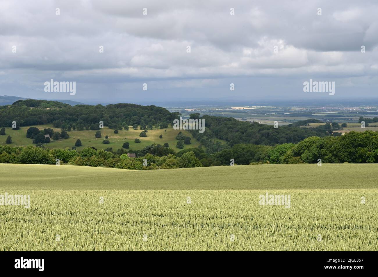 Westwards view from Cotswolds Lavender, Snowshill, Gloucestershire Stock Photo