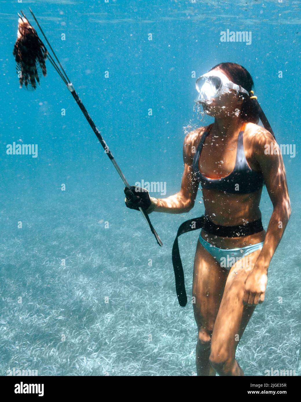 A female spearfishing under the water in the Bahamas Stock Photo